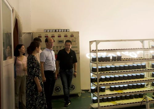 廣東省照明電器協會吳文鋒會長一行調研嘉美工業園，深化行業交流合作